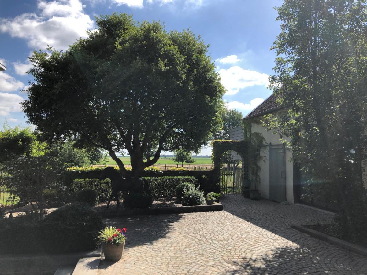 Welness Gastenverblijf Carpe Diem Opglabbeek Exterior foto
